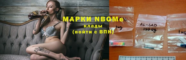 амф Аркадак