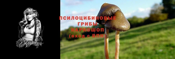 мяу мяу мука Сатка