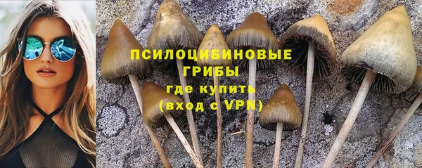 амф Аркадак